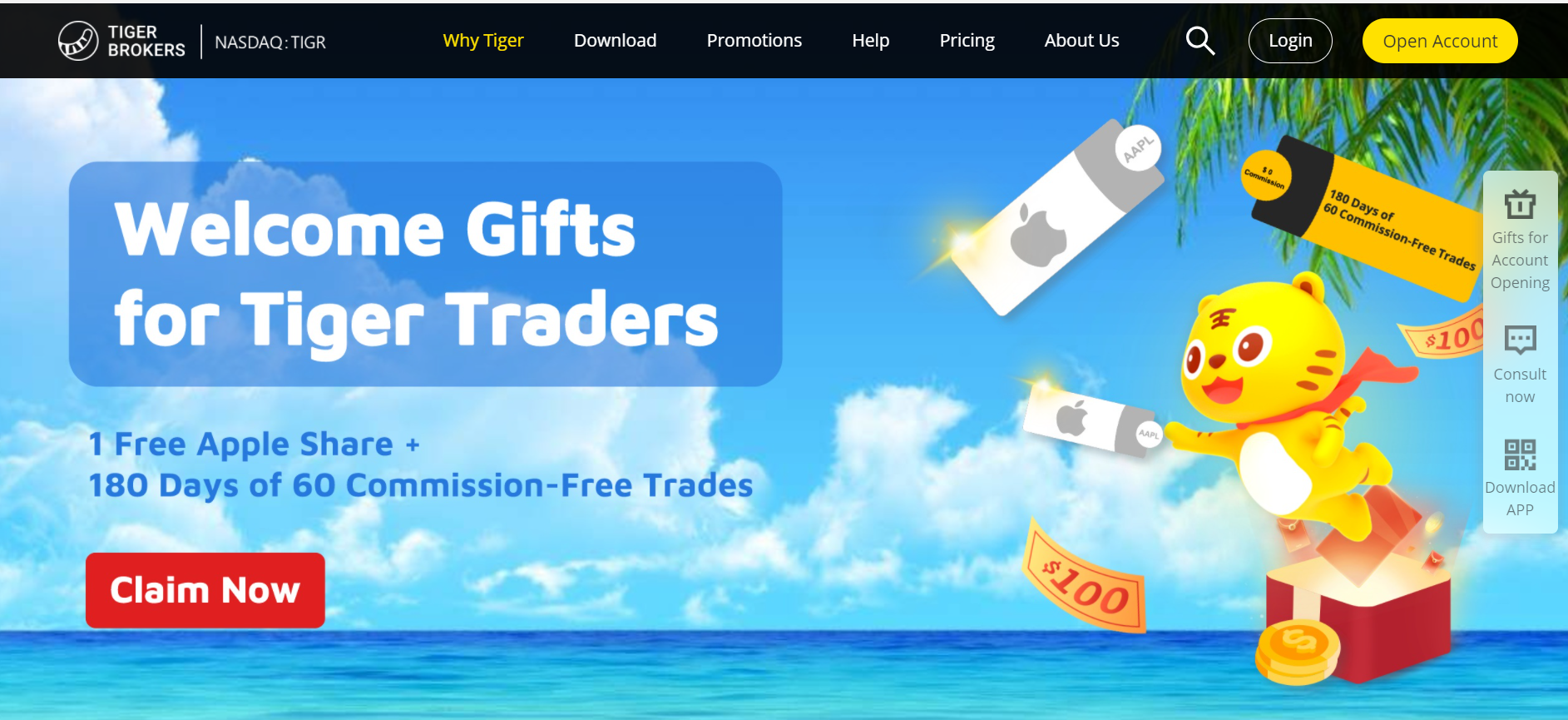 Screen capture of Tiger Brokers website homepage
