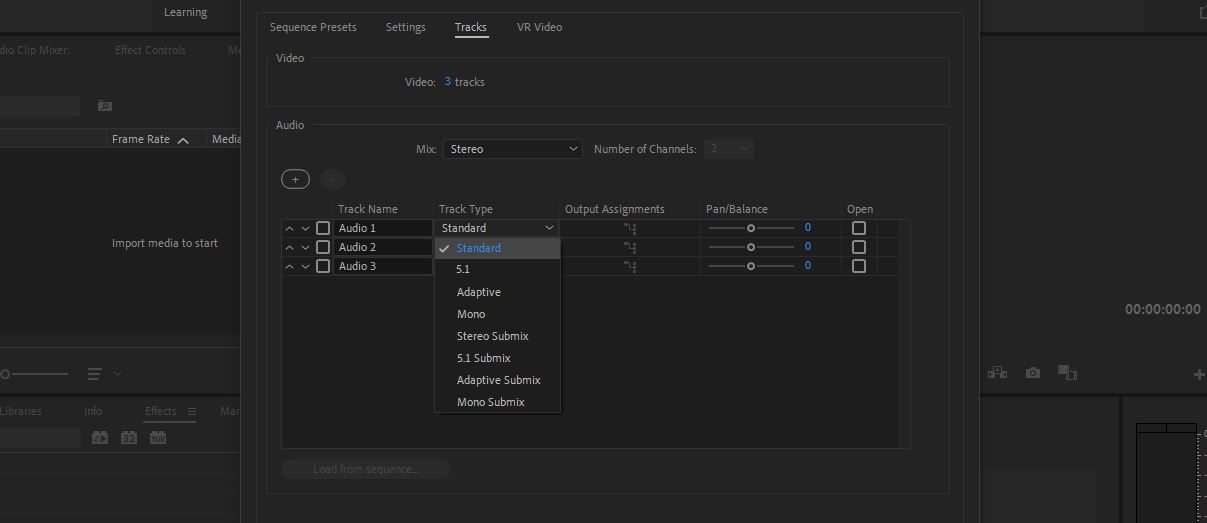 Eine Einführung in die Sequenzeinstellungen in Adobe Premiere Pro - track tab in sequence settings