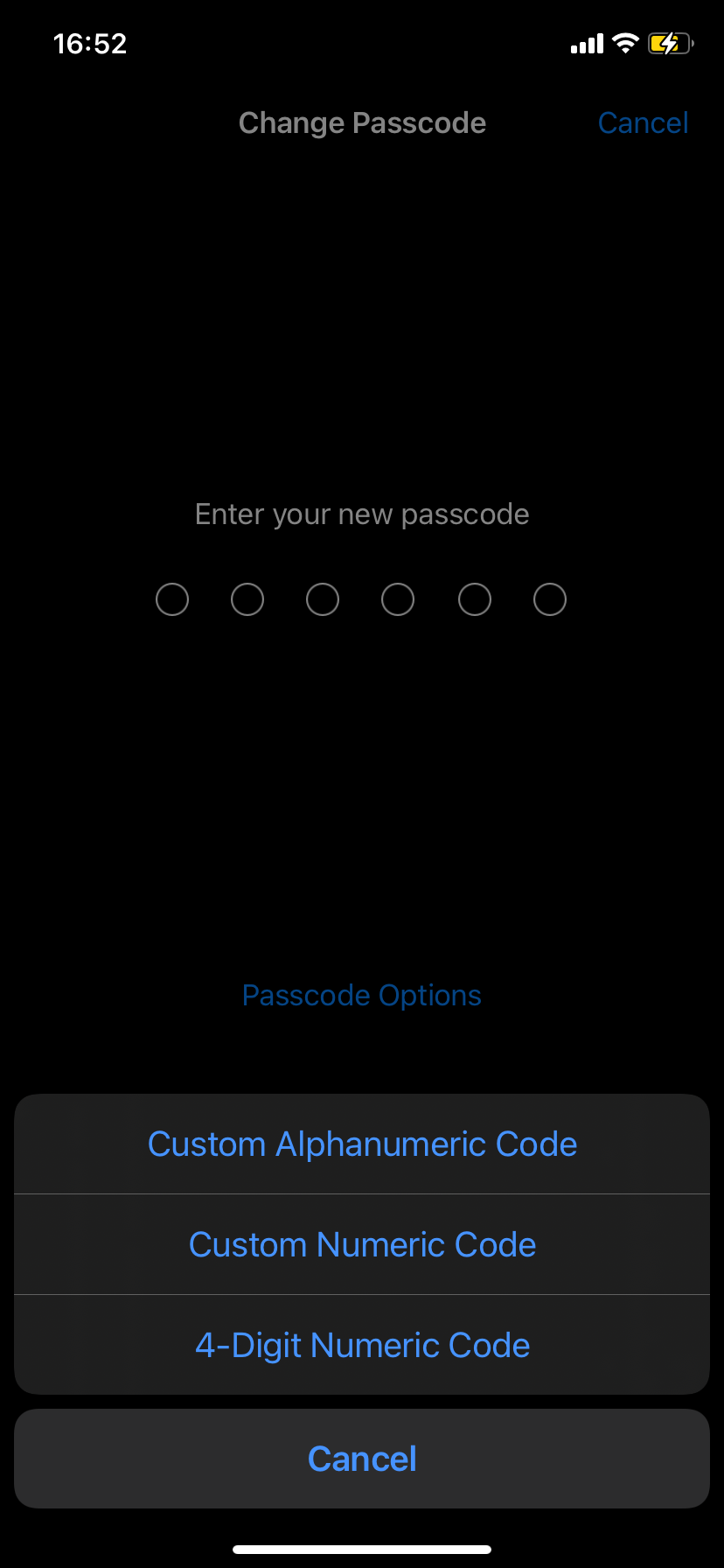 Different iPhone passcode options