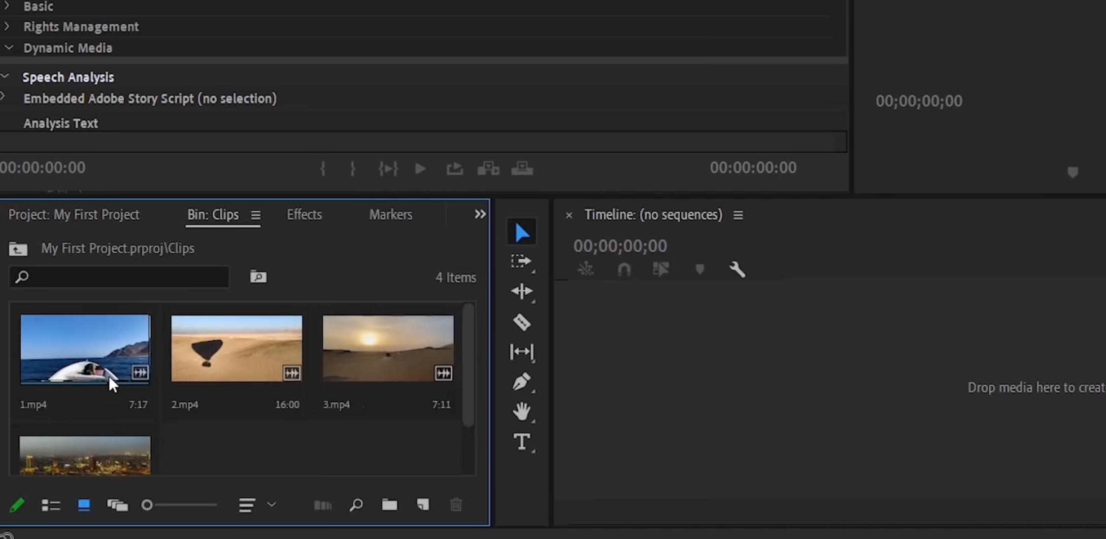 Final Cut Pro X vs. Adobe Premiere Pro: Der ultimative Video-Editor-Kampf - Adobe Premiere Pro media organization