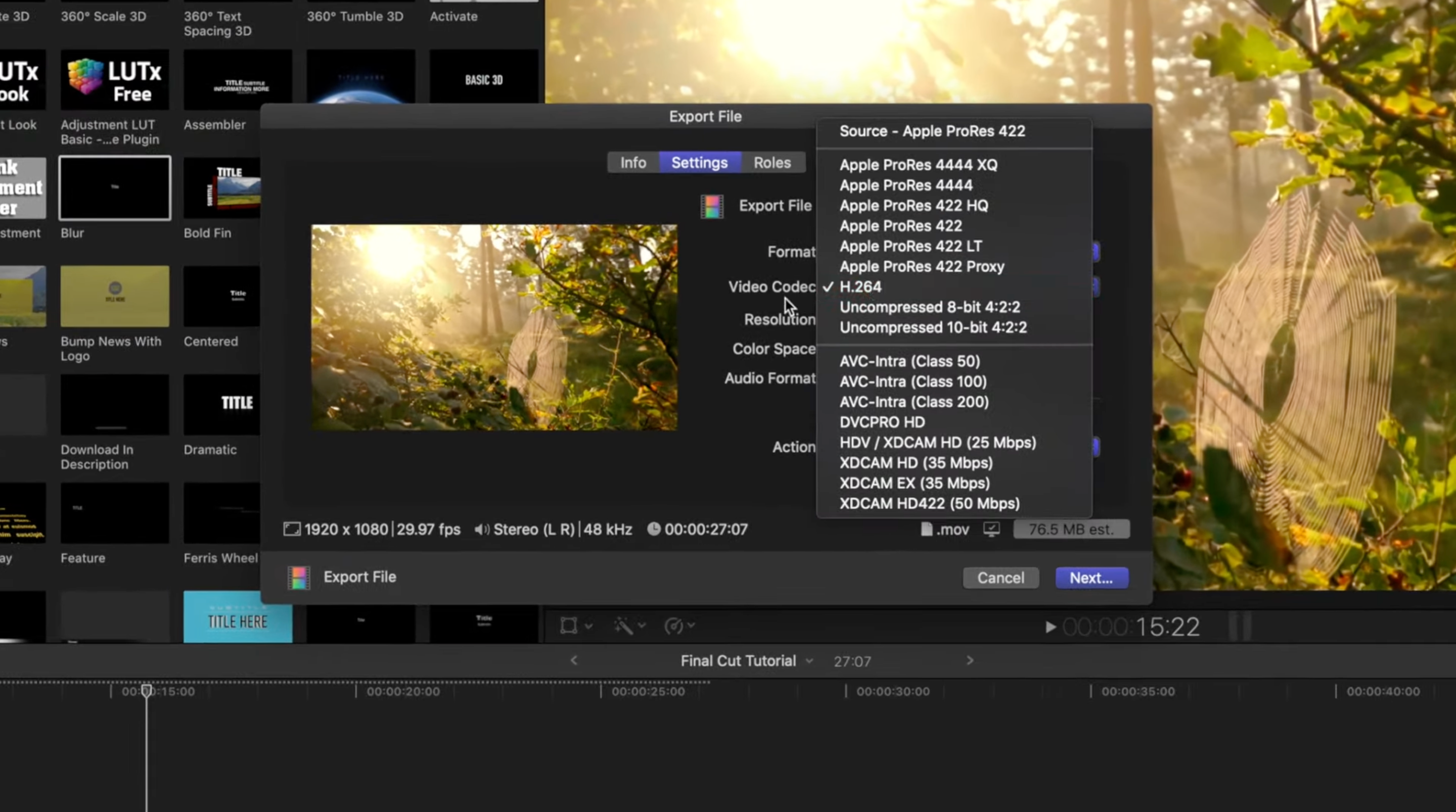 Final Cut Pro output formats settings for export