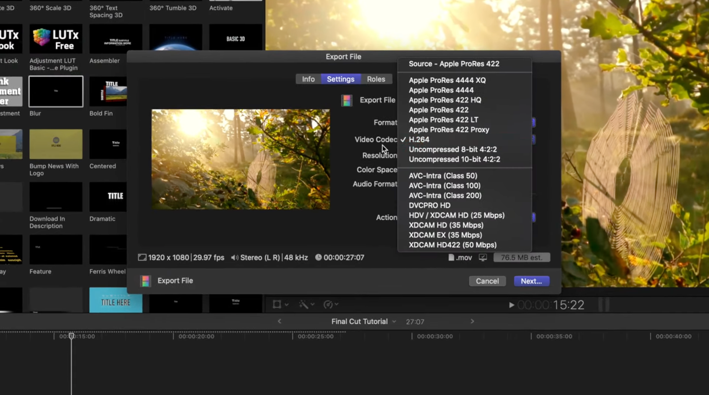 Final Cut Pro X vs. Adobe Premiere Pro: Der ultimative Video-Editor-Kampf - Final Cut Pro Output Formats