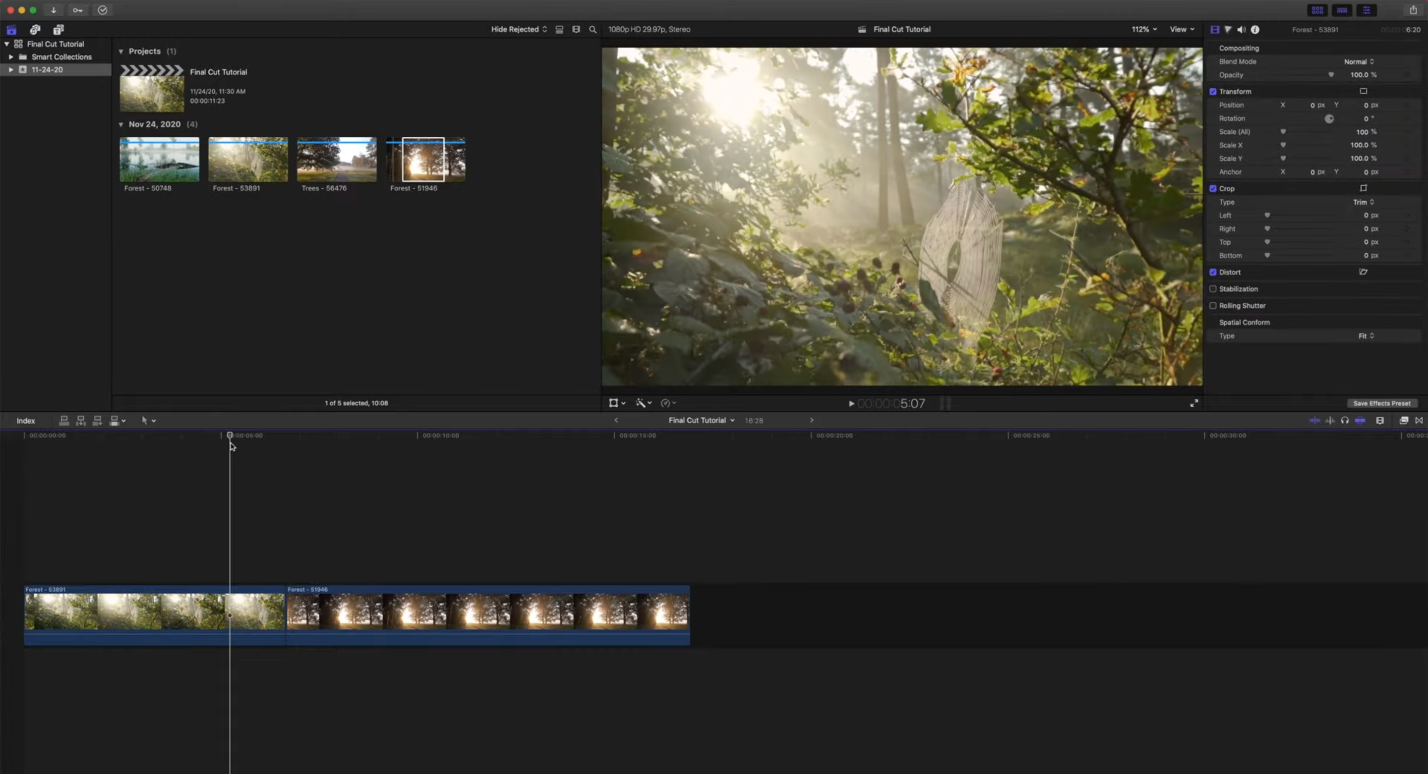 Final Cut Pro User Interface