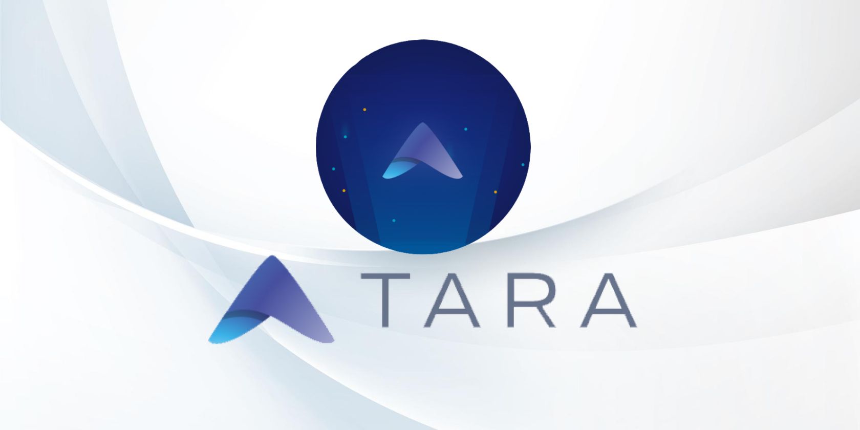 Visualization of Tara app Logo and Symbol