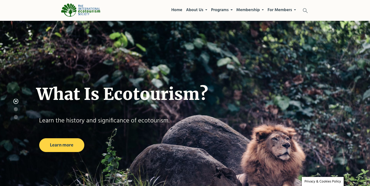 Screenshot of The International Ecotourism Society Website