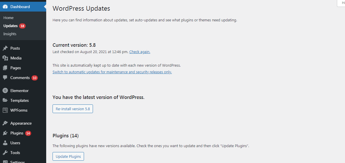 Screenshot of WordPress update page