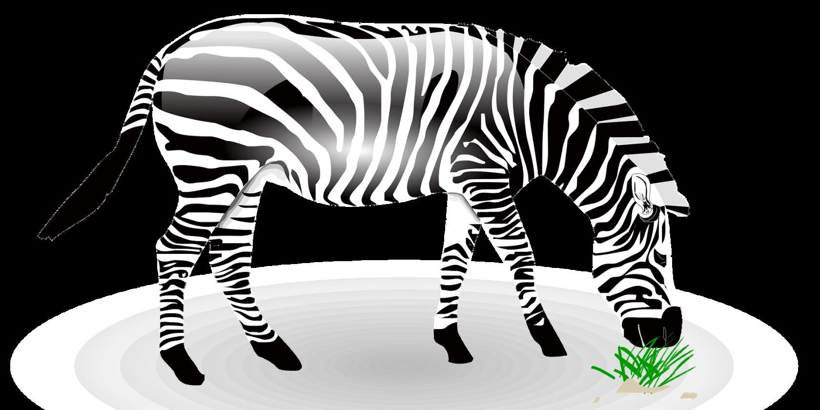 How to View Google's 3D Animals and Go on a Virtual Safari