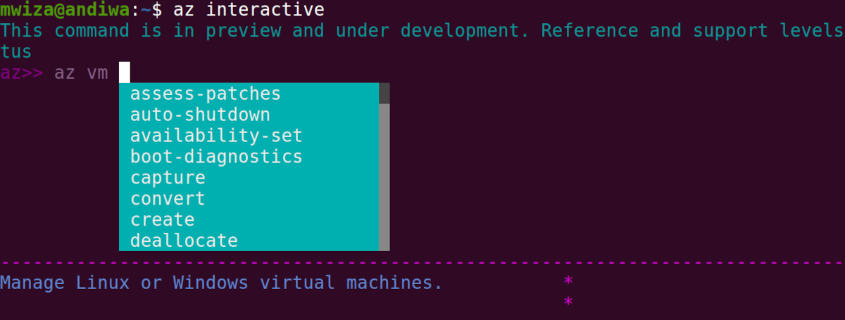 Installieren und Einrichten von Azure CLI unter Ubuntu - az interactive cli