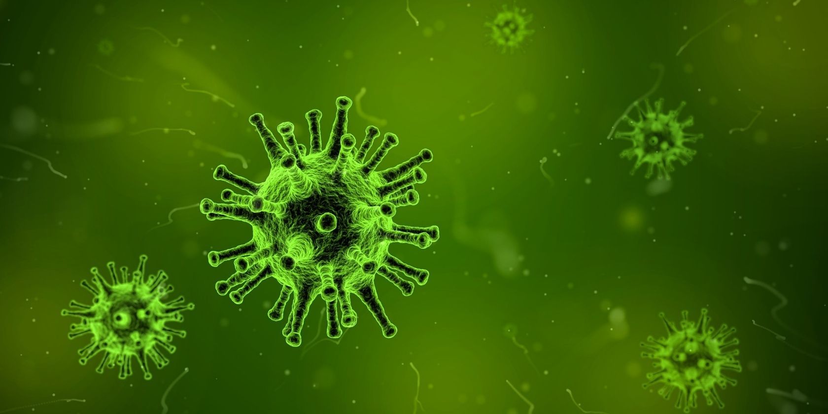 Computer generated image of microscopic viruses