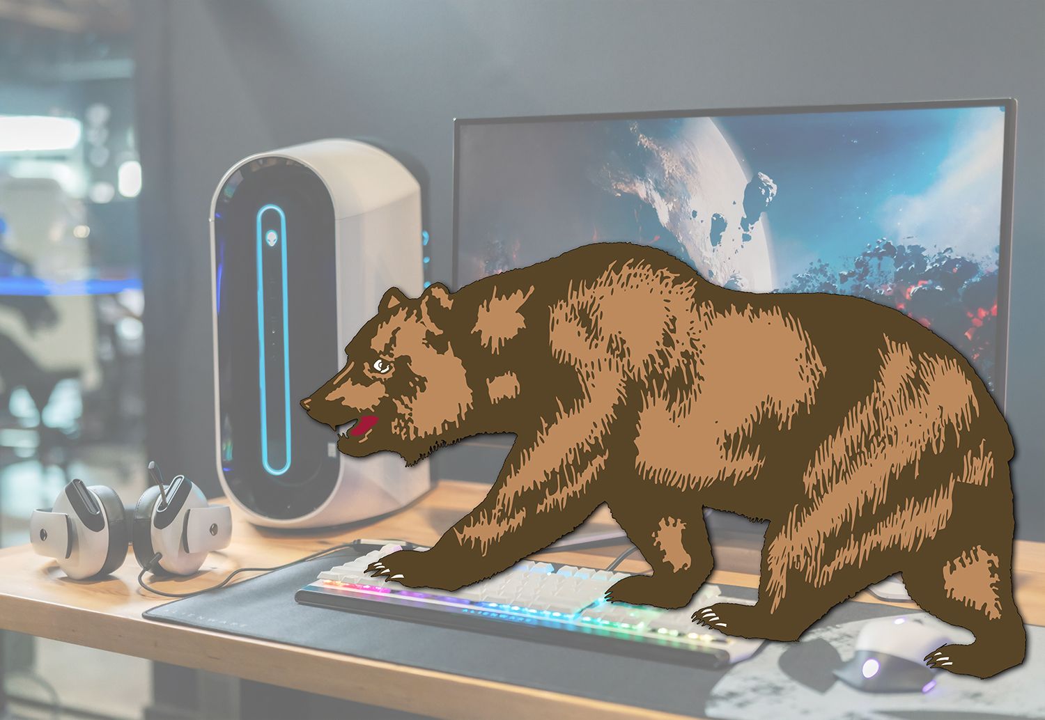 california bear guarding an alienware computer