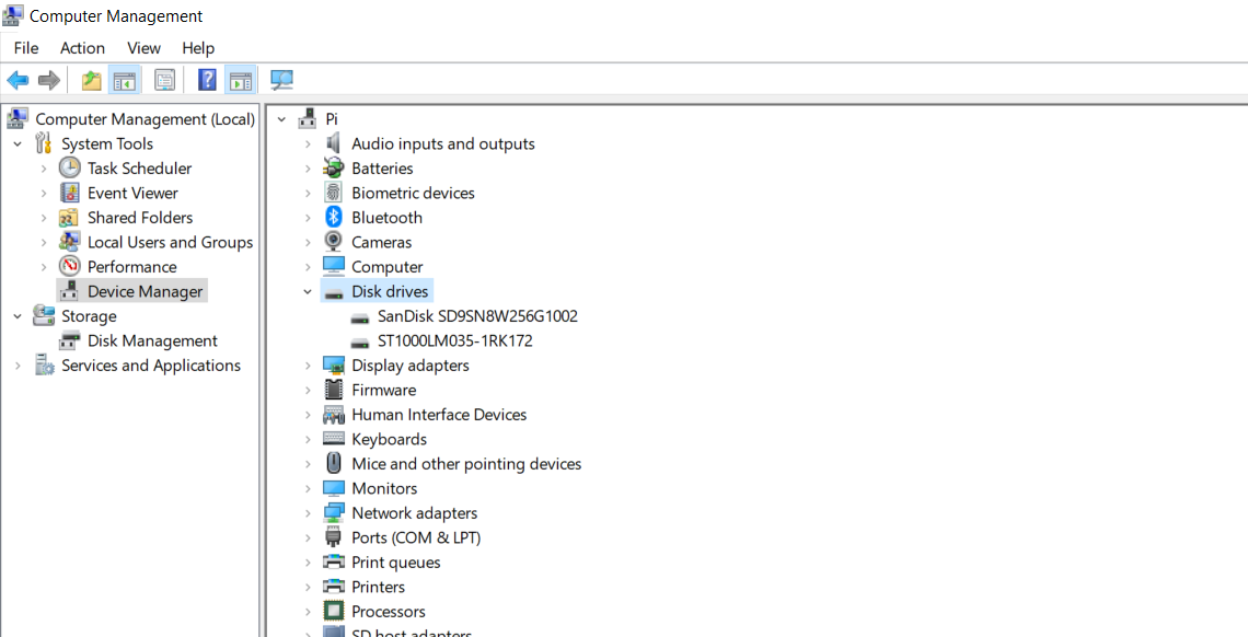 Hard drive detail in Windows 10's device manager.