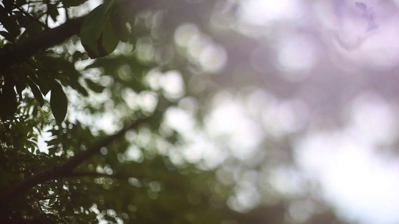 When freelensing, you will find bokeh everywhere