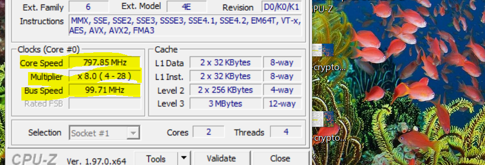CPU-Z core ratio multipliers