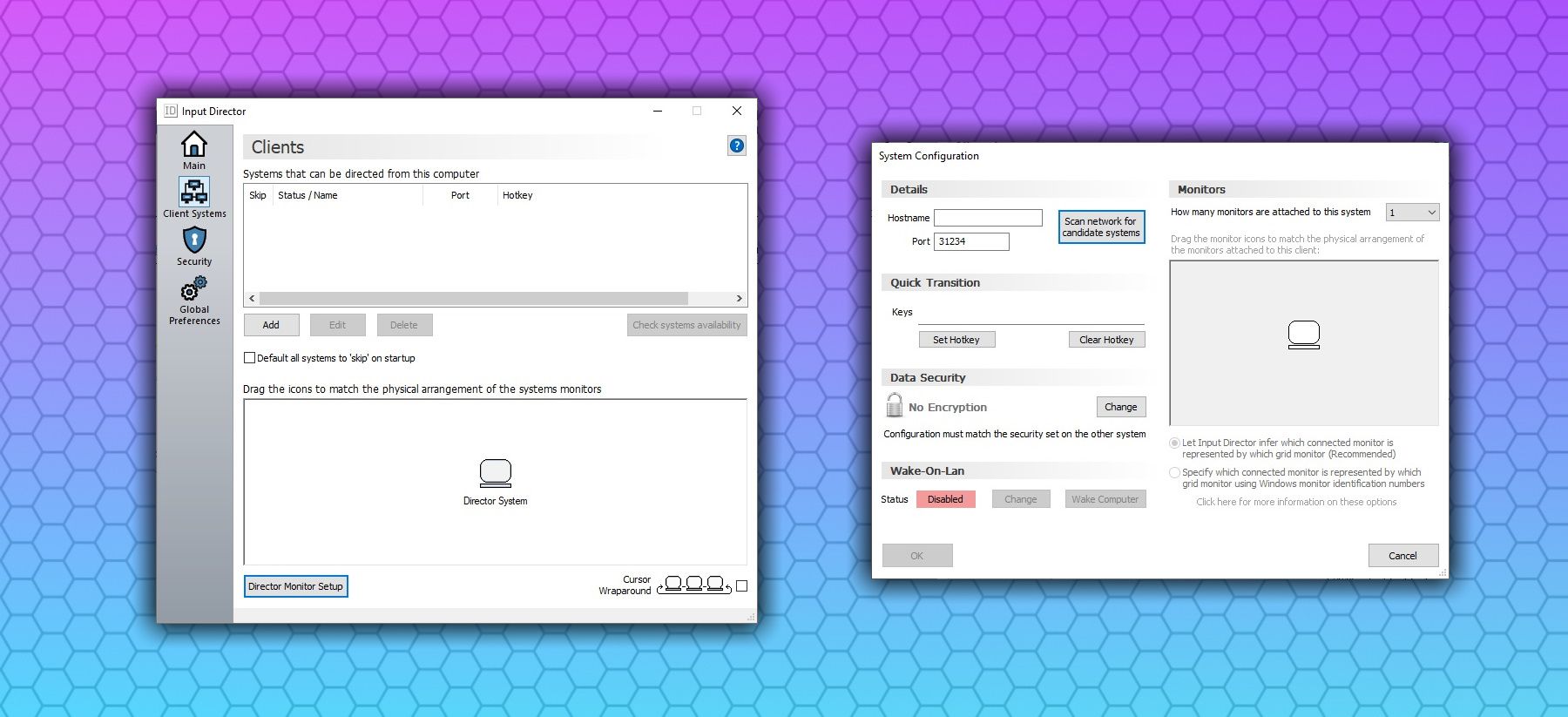 input director 2 system configuration