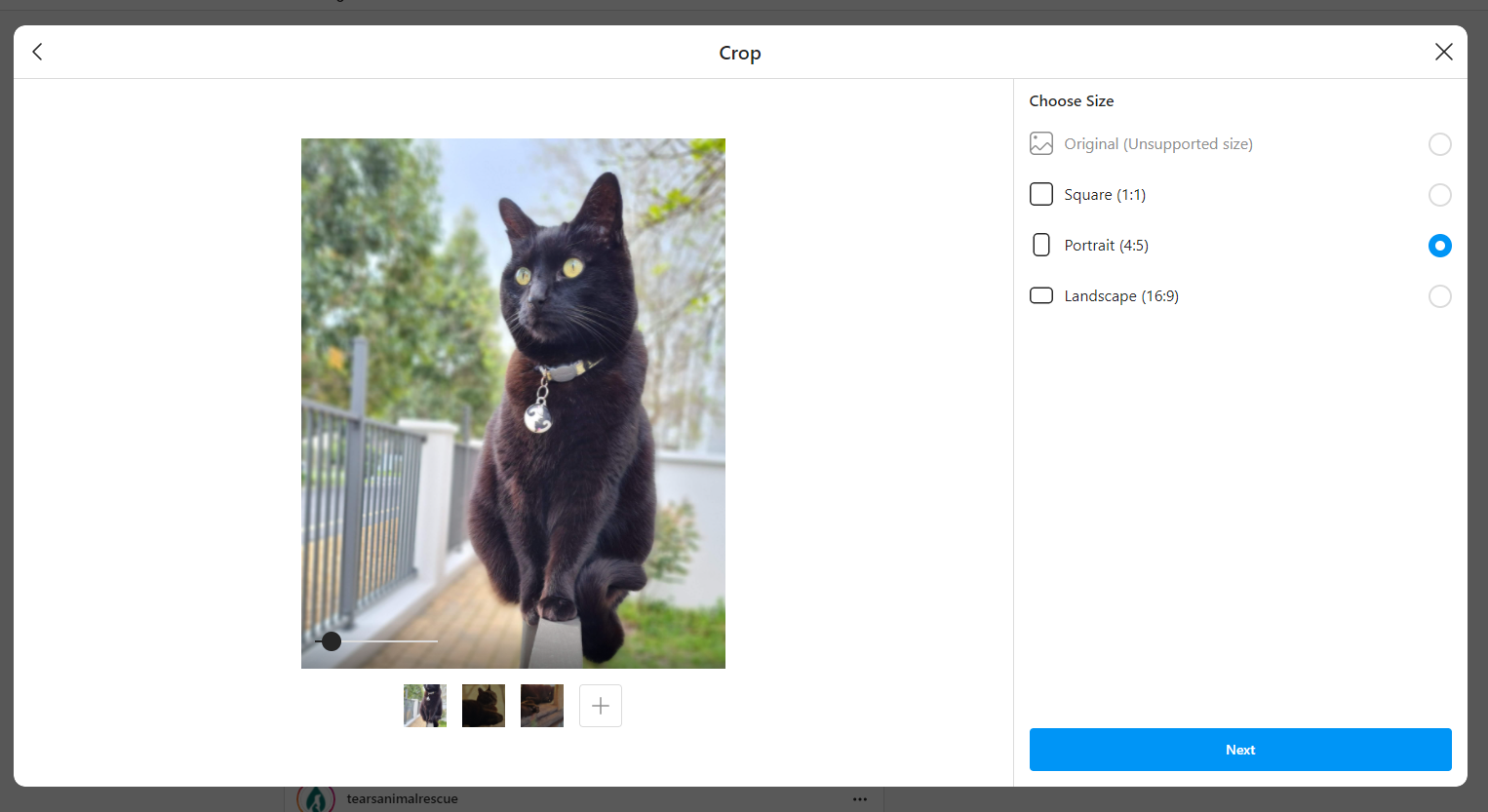 screenshot of image sizing settings for instagram on computer