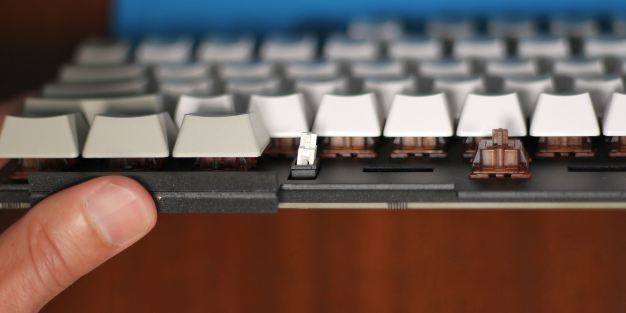keychron-q1-mechanical-keyboard-review-screw-in-stabilizer