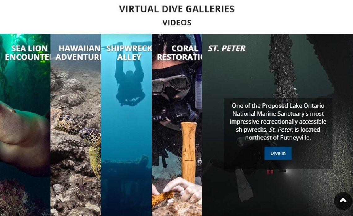 Marine Life virtual dives
