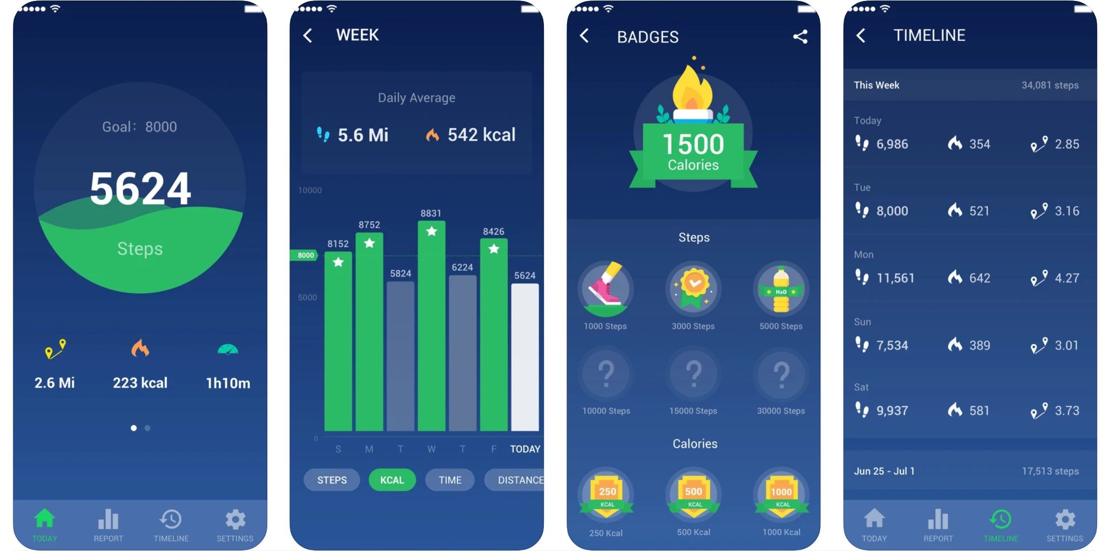 Pedometer Step Counter app interface
