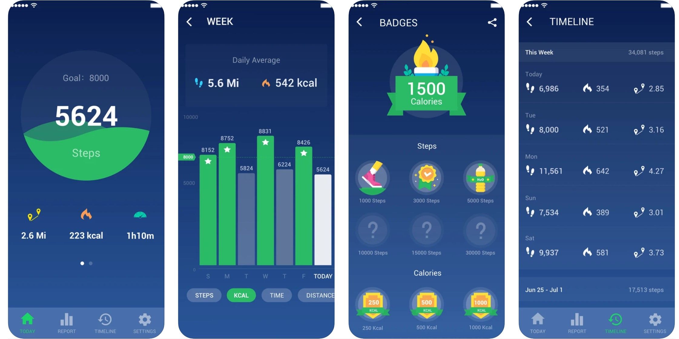 Pedometer that syncs online with iphone