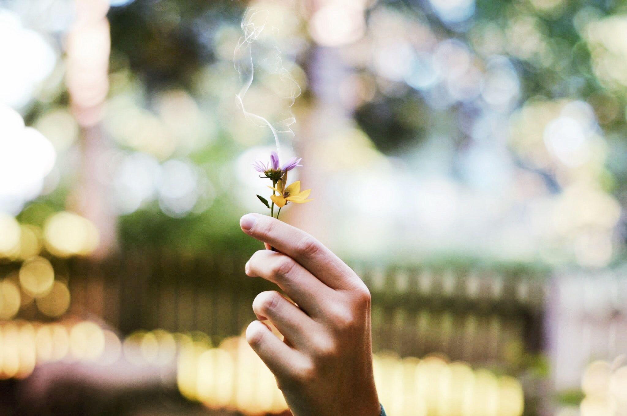 Was ist Aperture in der Fotografie? Wie man die Kamerablende versteht - shallow depth of field