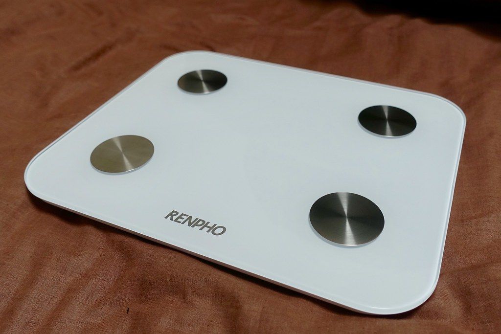 picture of renpho smart scale