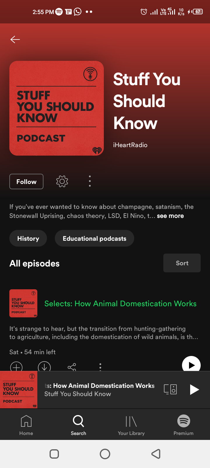 How to Find, Follow, and Download Podcasts on Spotify