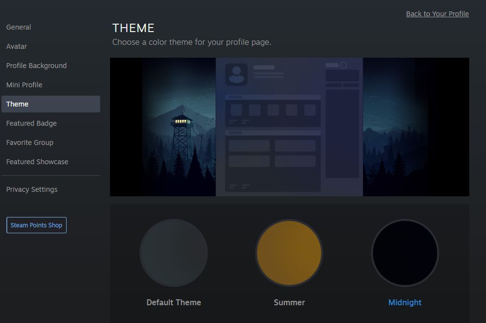 steam profile theme