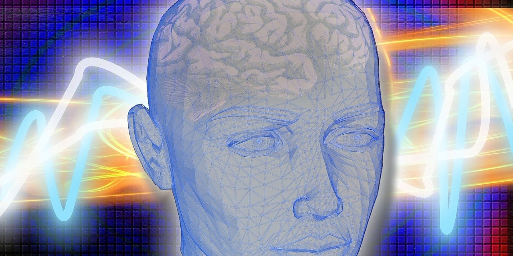 A computer-generated wireframe head showing the brain.