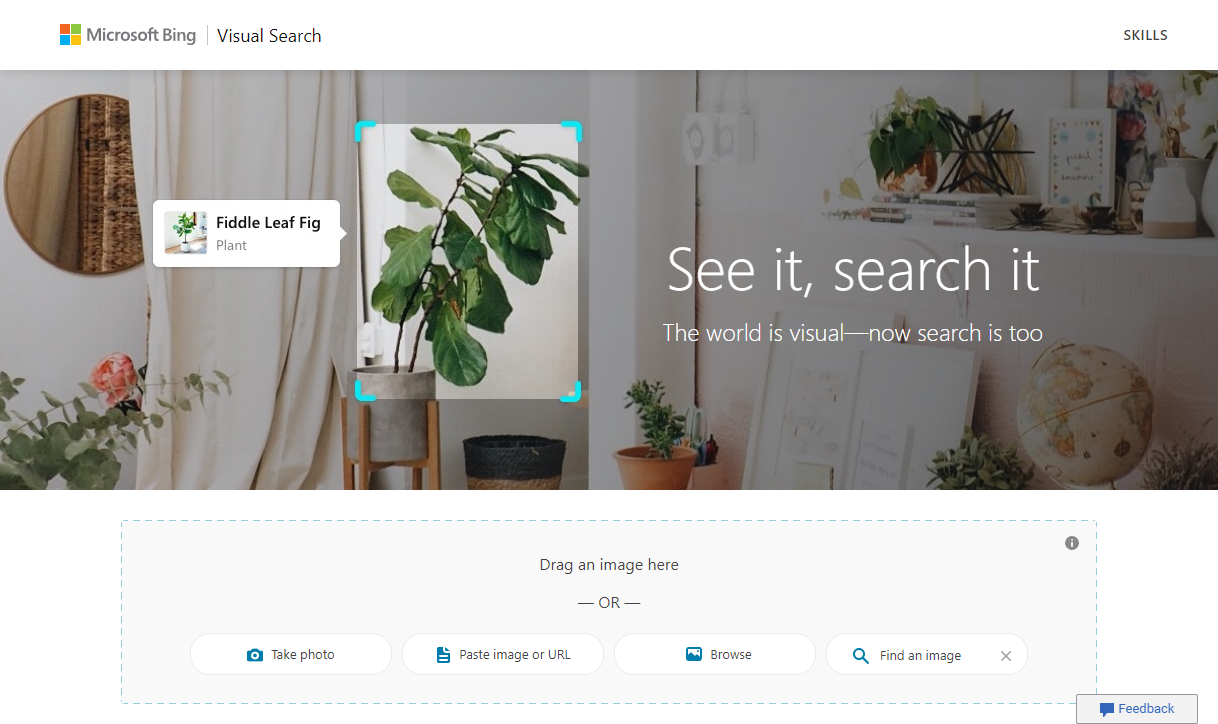 A screenshot of Bing's Visual Search tool
