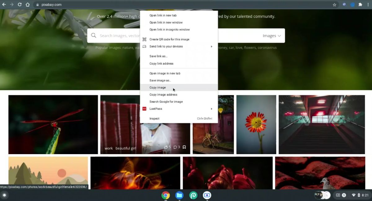 Kopieren und Einfügen auf Chromebook - Chromebook Options You Get by Right Clicking an Image