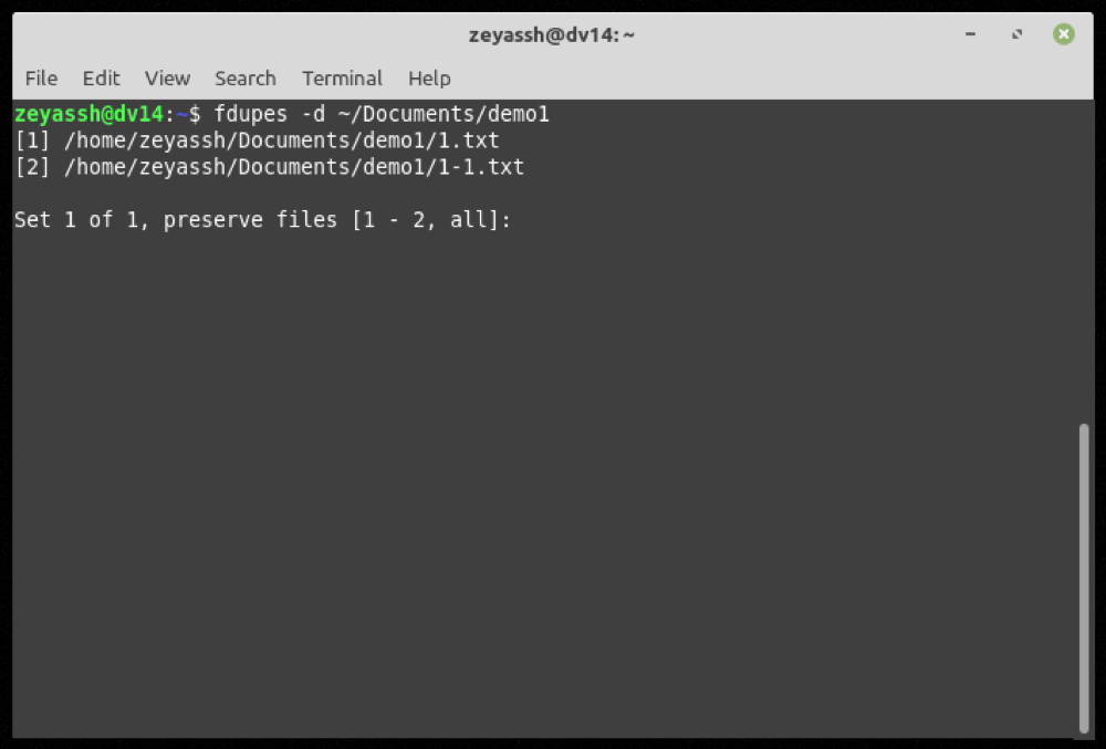 Deleting duplicate files on Linux using fdupes - Come trovare e rimuovere file duplicati su Linux usando fdupes