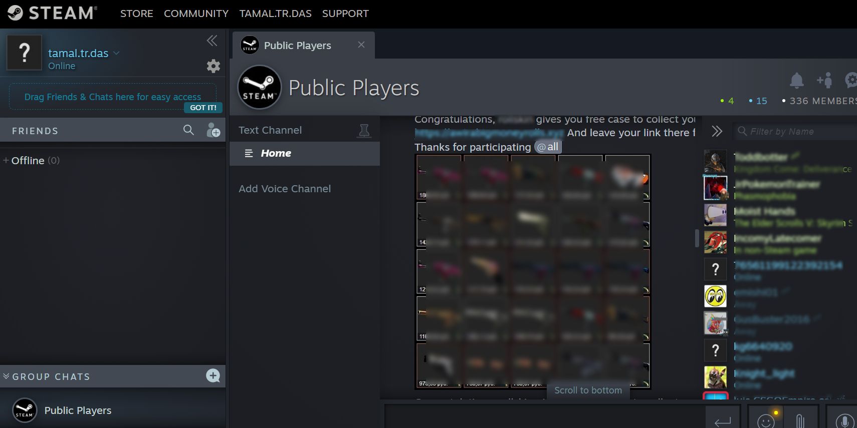 A visual showing the Steam Chat UI online