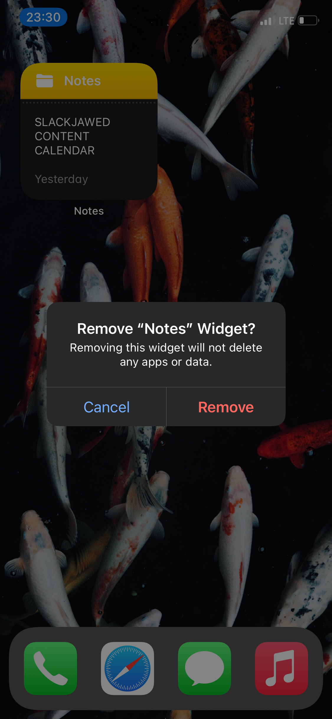 Removing iPhone widget from home screen