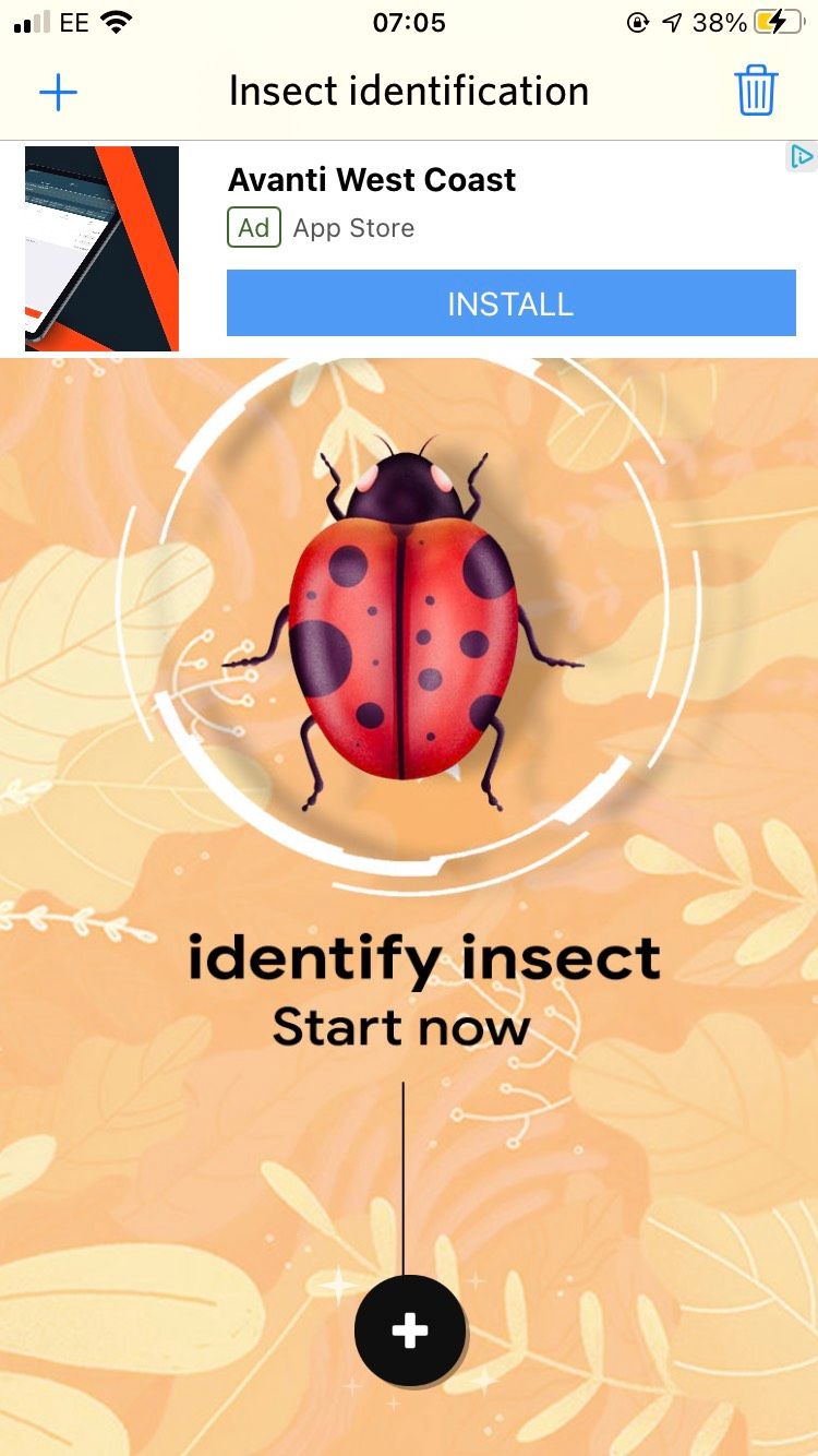 Picture of a ladybird on the home screen of the Insect identification app.