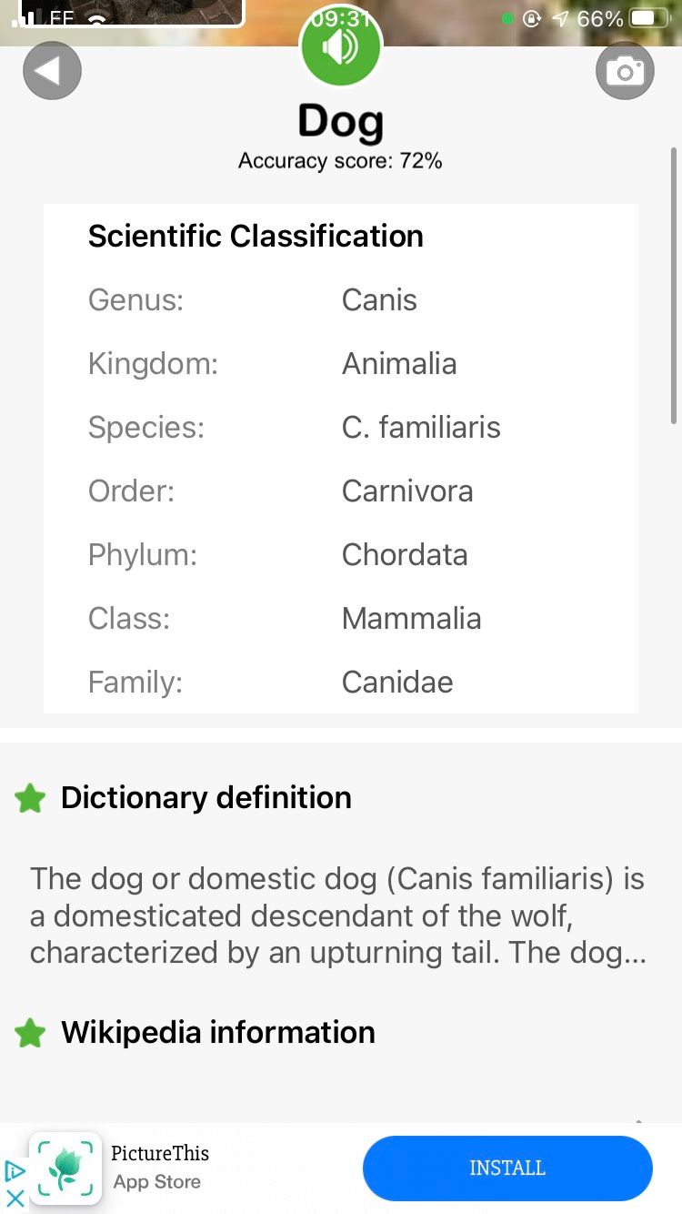 Scientific classification fields for the dog species on the Smart Identifier app.