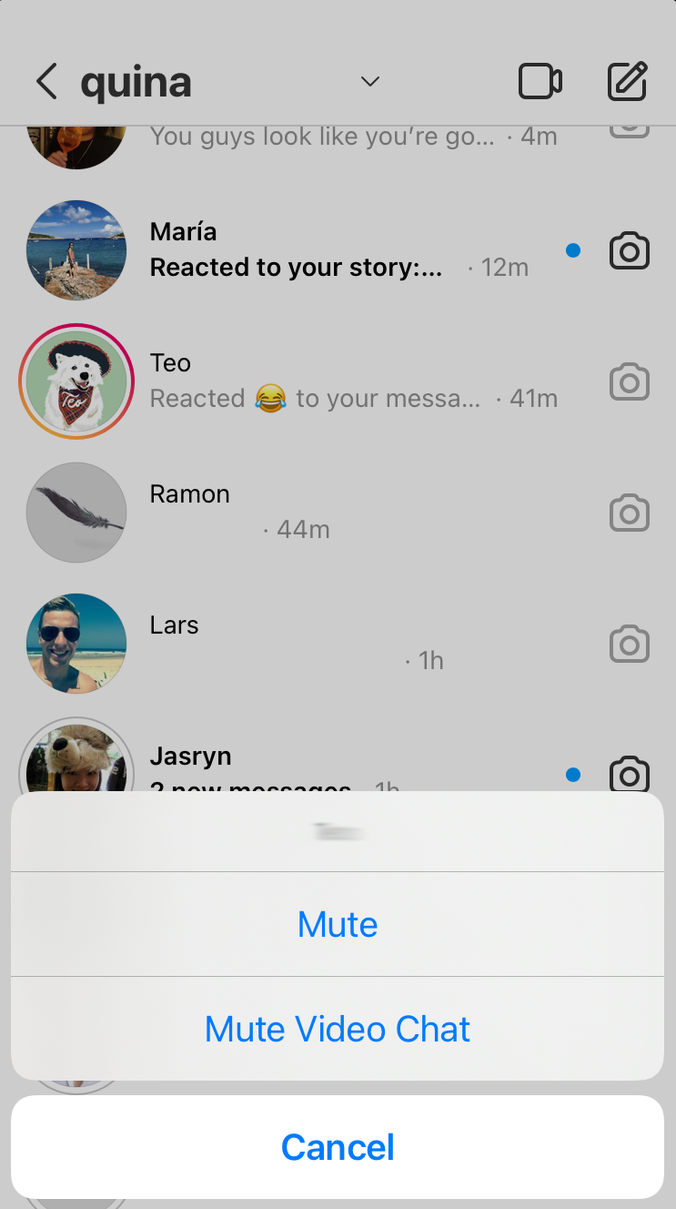 Instagram App Mute