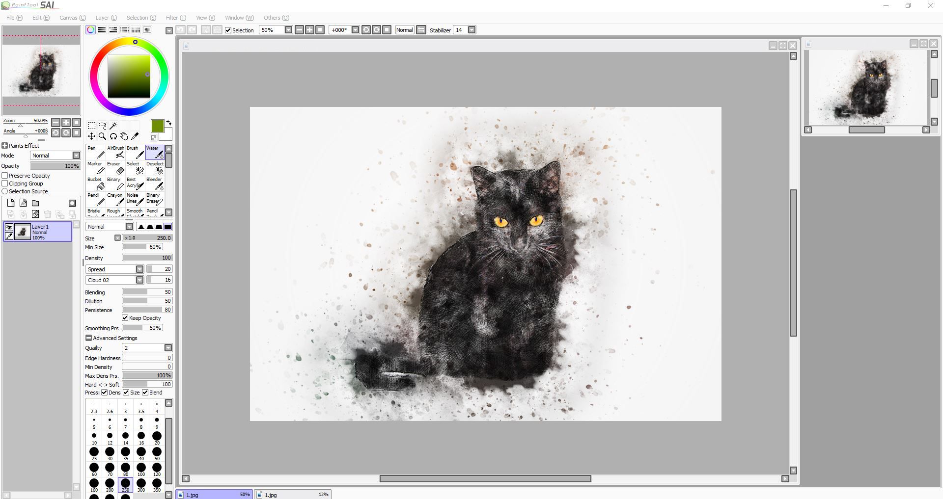 PaintToolSAI creating your zoomed out view