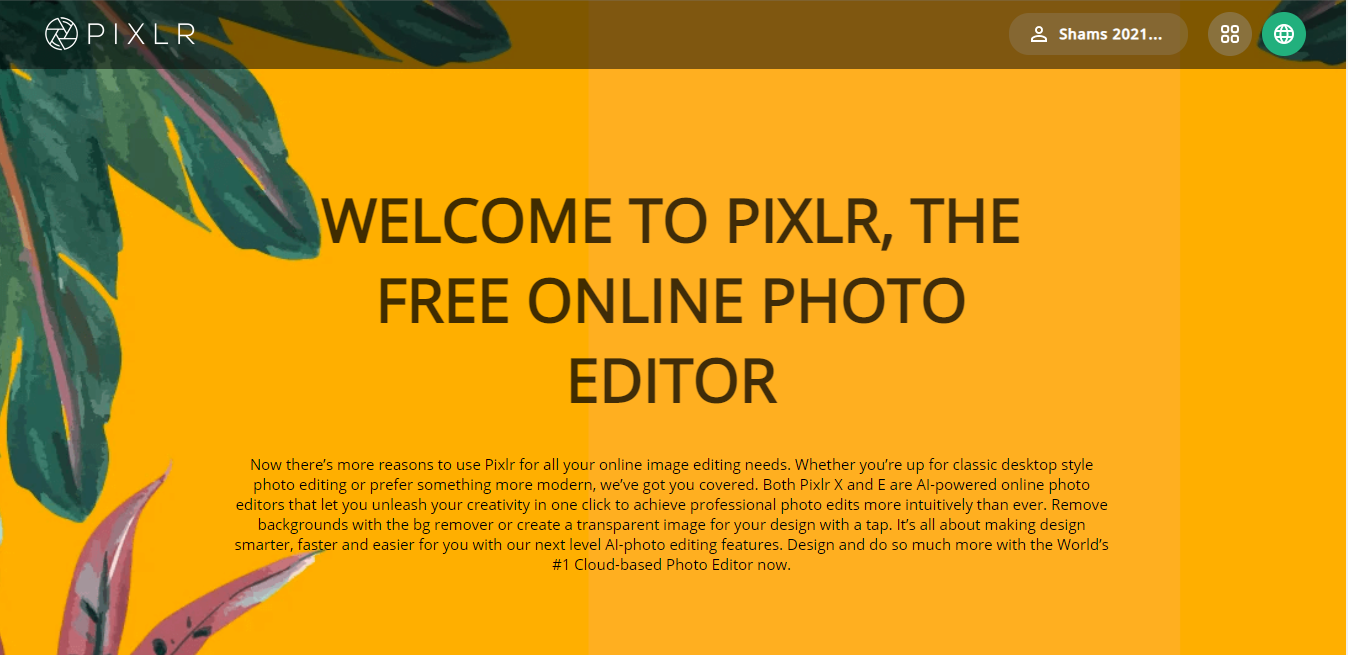 Pixlr Website Homepage