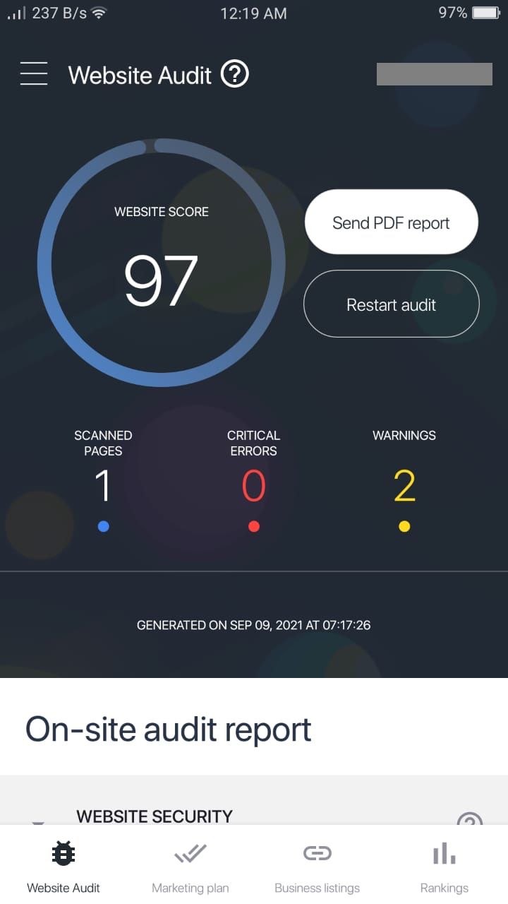 SE Ranking Pro App - Website Audit Report