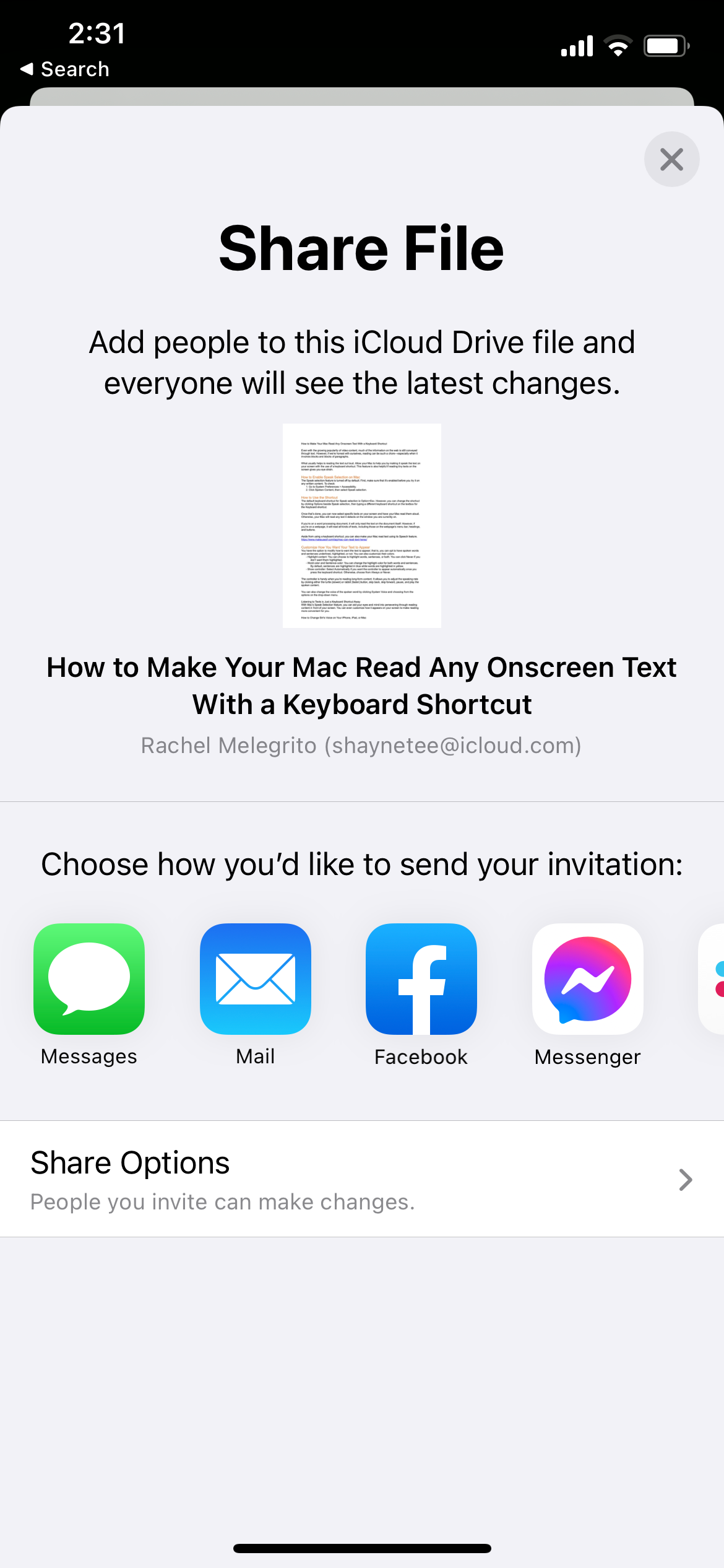Share File Options on iPhone