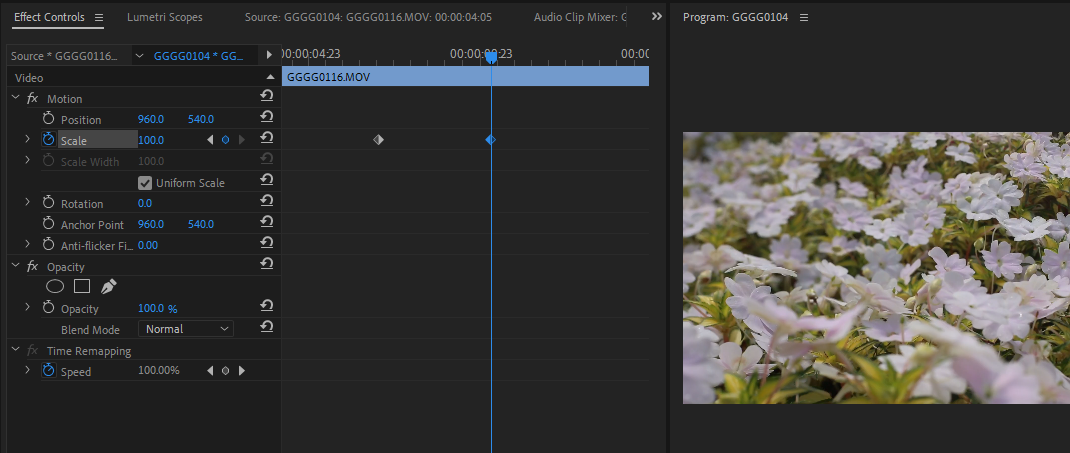 adding keyframes to effects premiere - Come utilizzare gli effetti in Adobe Premiere Pro