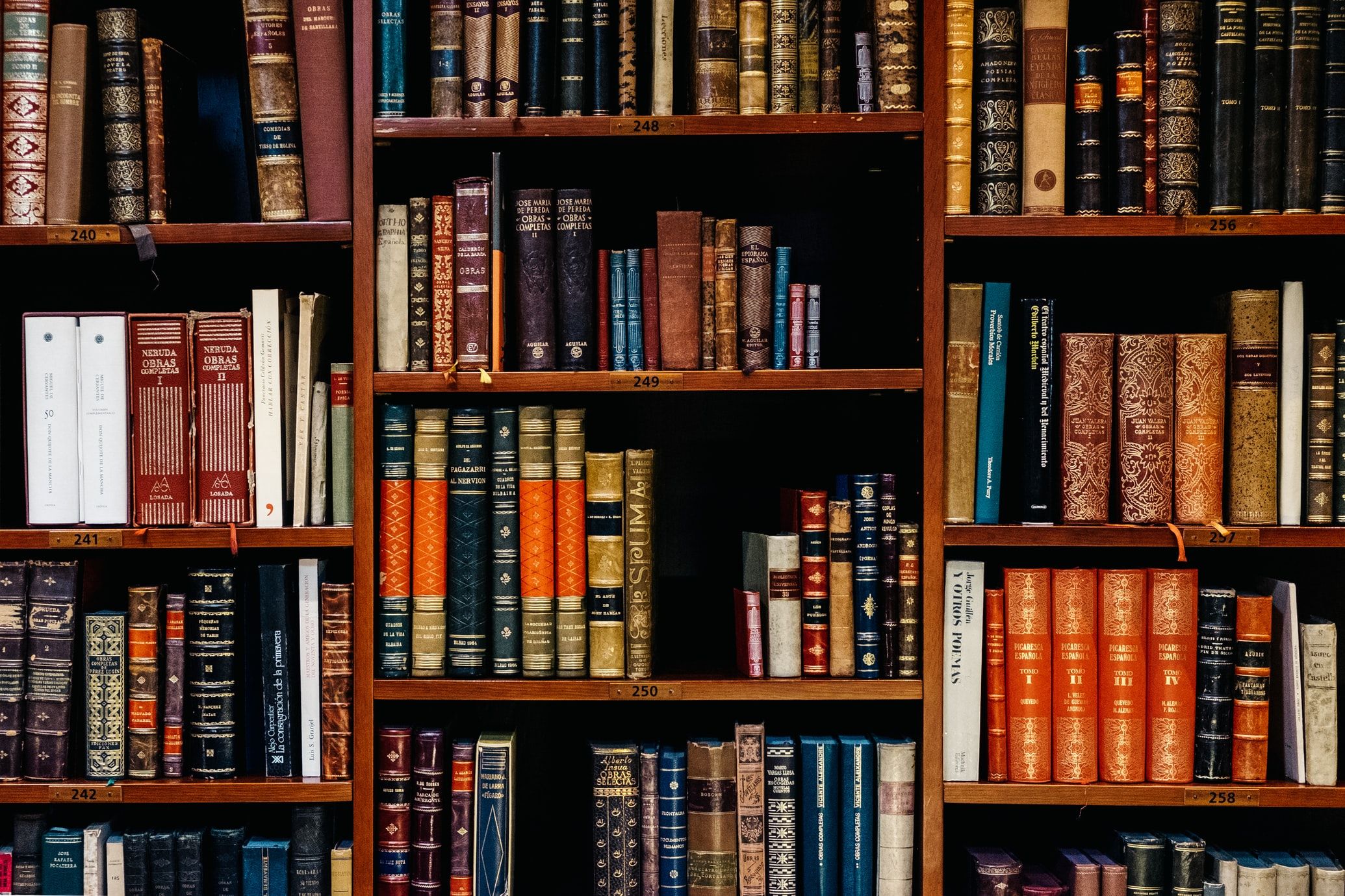 Bookshelf Backdrop