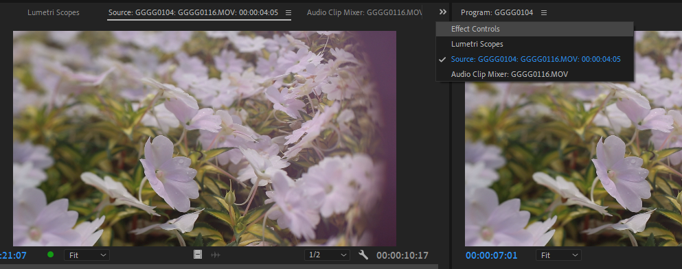 effect controls panel premiere - Come utilizzare gli effetti in Adobe Premiere Pro