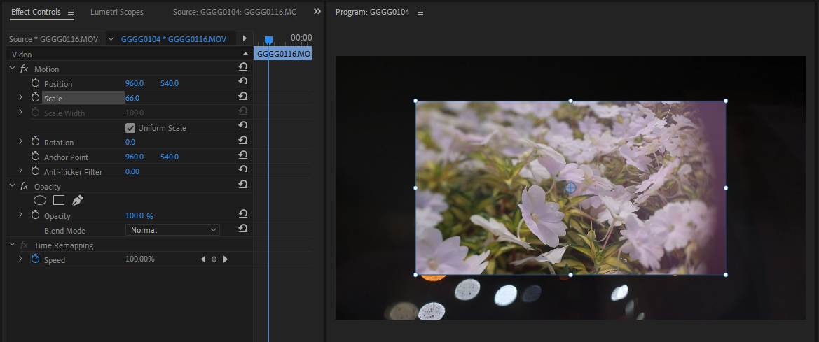 fixed effects premiere pro - Come utilizzare gli effetti in Adobe Premiere Pro