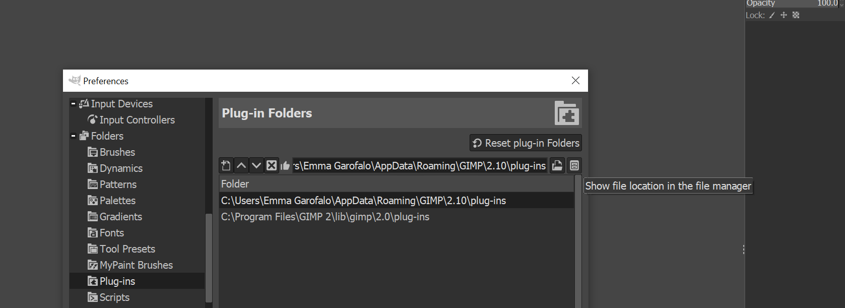 The folder for GIMP scripts and GIMP plugins can be found through this menu
