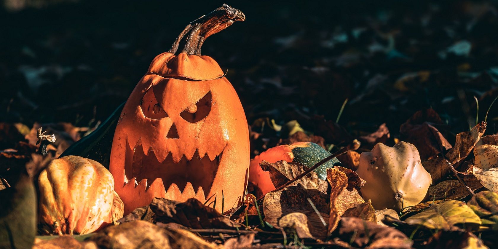 halloween pumpkin on the ground