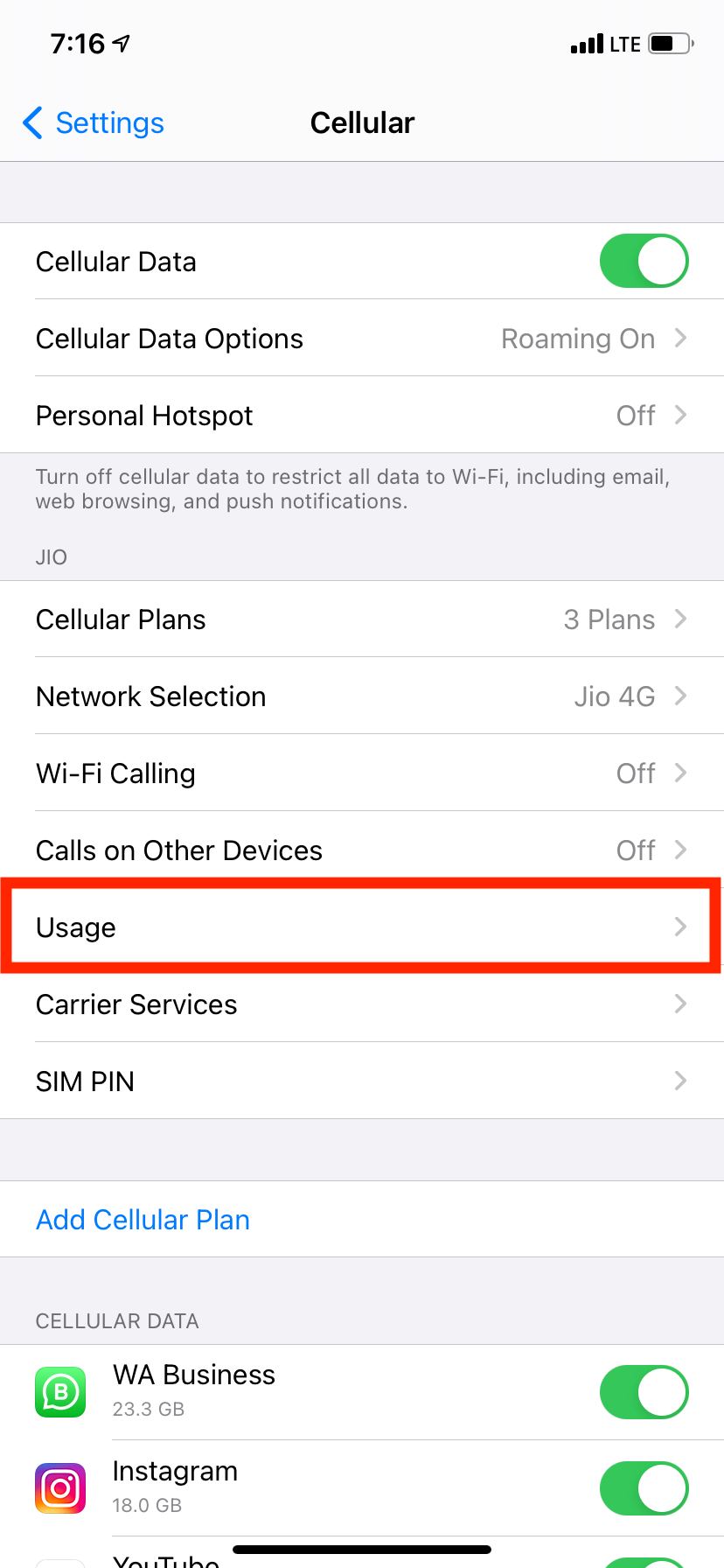 In Settings Cellular tap Usage to Check Data Usage on iPhone