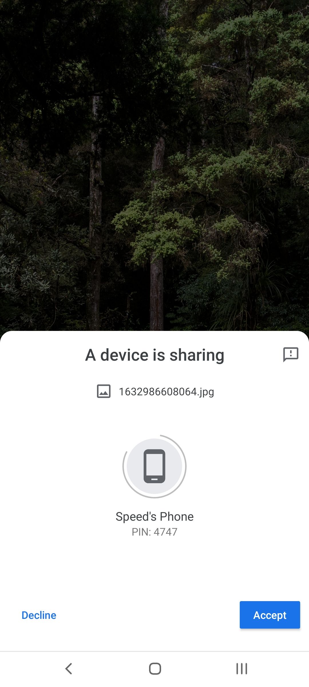 File Sharing Dialog Box in Nearby Share