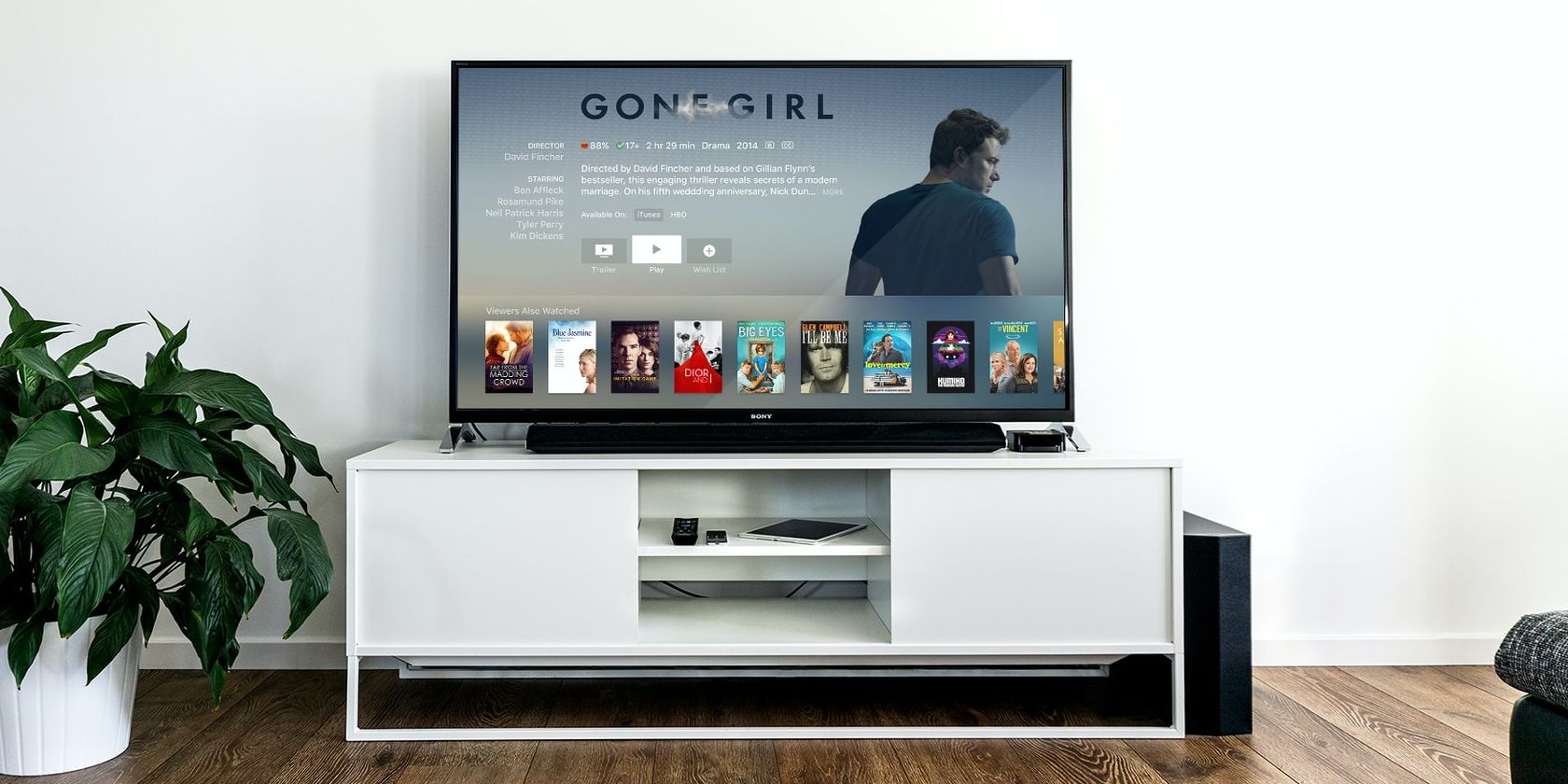Netflix on TV in Living Room