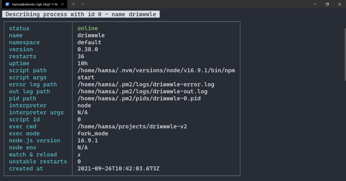 So installieren und konfigurieren Sie PM2 auf Linux-Servern - pm2 metadata